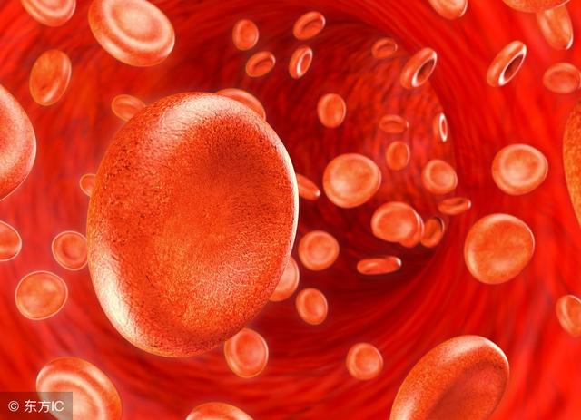 痛风方法有哪些，治疗痛风方法有哪些（脚痛风发作，该怎么快速止痛）