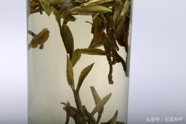 白茶的优劣怎么区分，白茶的优劣怎么区分图片（只靠口感判定茶叶好坏容易被骗）