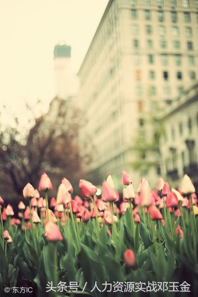 如何发传真给对方，怎样发传真（干货：公务礼仪手册）