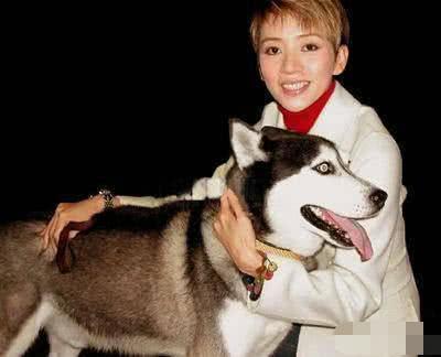 2003年梅艳芳去世，“他”为爱绝食，滴水未进，头七追随她而去