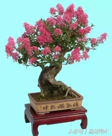 浇什么意思解释，浇字笔画笔顺（“间干间湿”和“见干见湿”区别在哪儿）
