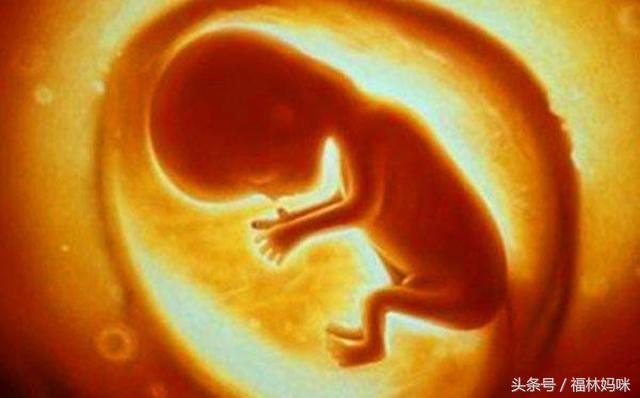 胎儿是男是女一眼看出，第一胎怎么看生女孩（神预言孩子性别的老人）