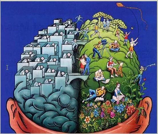 1,珠心算计算神速,其实它是一种脑力运动和手脑结合是思维训练