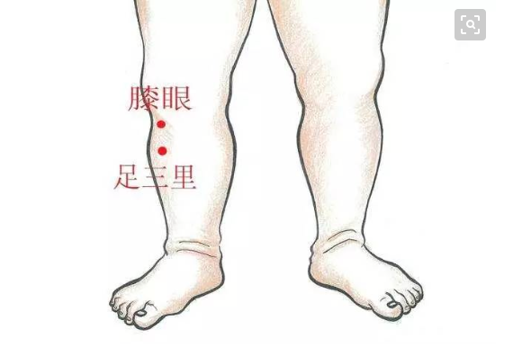 三阴焦的精准位置图，三阴焦位置图和作用（医生教你这样做，确实有疗效）