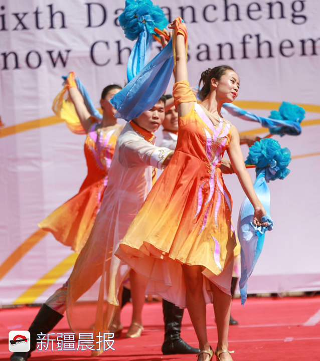 雪菊的功效与作用，万名市民体验免费采摘（雪菊的功效与作用中药查询）