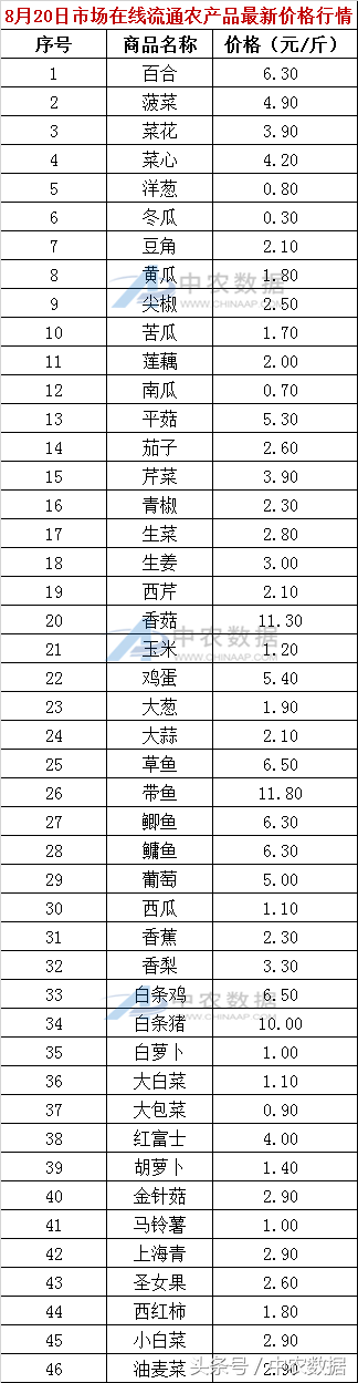 南京批发市场(南京小商品批发市场在哪里)
