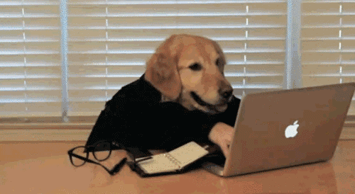 九龙仓为什么选在长沙，长沙九龙仓是谁的（长沙最适合玩耍的6大“网红”地标）