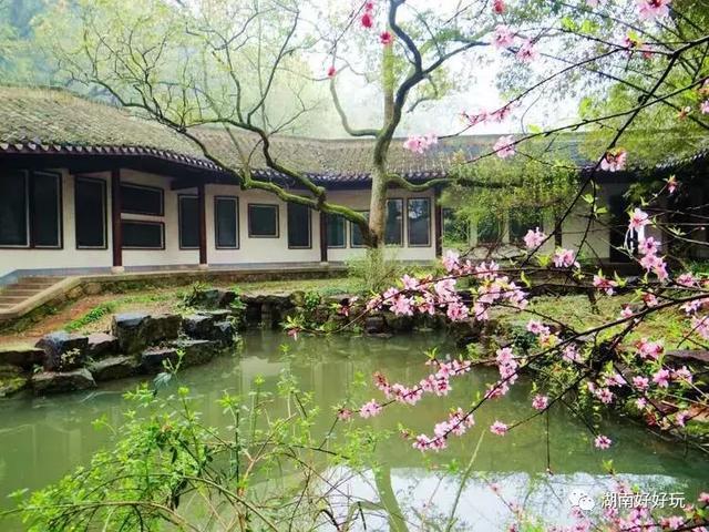 九龙仓为什么选在长沙，长沙九龙仓是谁的（长沙最适合玩耍的6大“网红”地标）