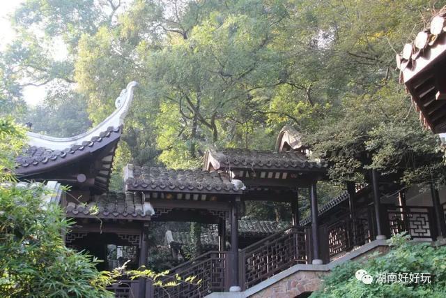 九龙仓为什么选在长沙，长沙九龙仓是谁的（长沙最适合玩耍的6大“网红”地标）