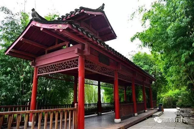 九龙仓为什么选在长沙，长沙九龙仓是谁的（长沙最适合玩耍的6大“网红”地标）