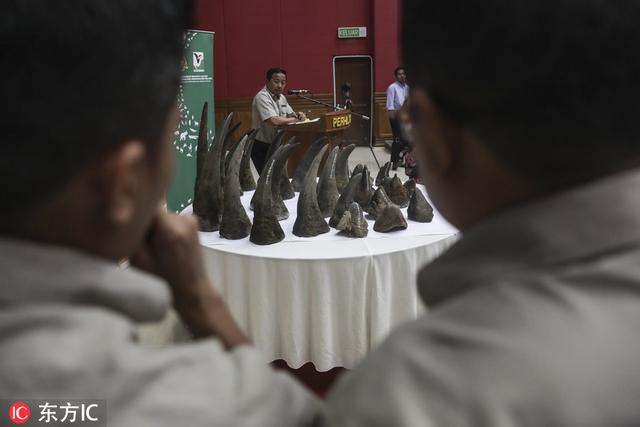 犀牛角图片，犀牛角图片大全做法（马来西亚当局查获50件非洲犀牛角）