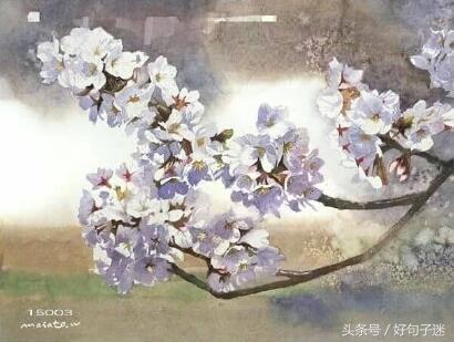 很有诗意的句子，文艺有诗意的句子（简短的古风个性签名）