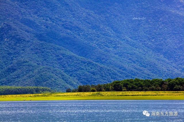 东方旅游景点大全，东方有哪些旅游景点（99%的海南人都没见过）