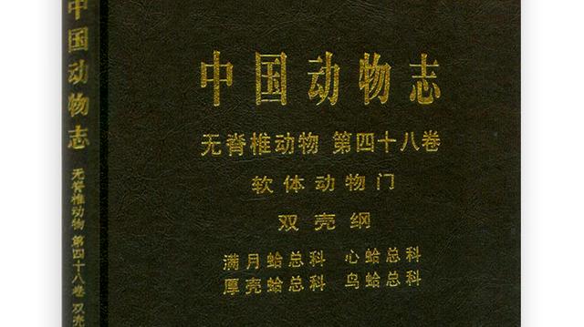 海鲜有哪些种类，文蛤、牡蛎、竹蛏、毛蚶……你都了解了吗