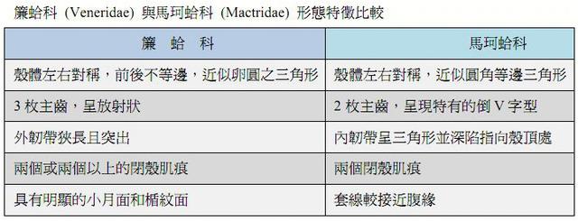 海鲜有哪些种类，文蛤、牡蛎、竹蛏、毛蚶……你都了解了吗