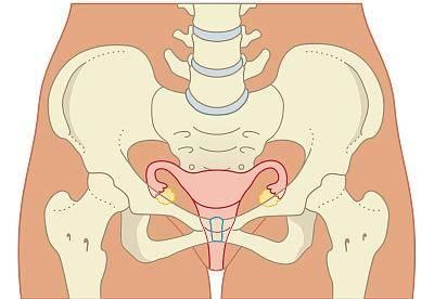 人胎盘炖汤放什么药材，人胎盘炖汤放什么药材比较好（什么病人适合吃胎盘）