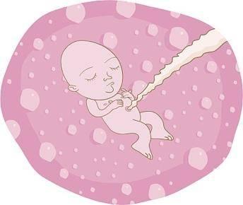 人胎盘炖汤放什么药材，人胎盘炖汤放什么药材比较好（什么病人适合吃胎盘）