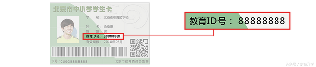 如何进行北京市学生体检电子回执查看，北京市学生体检回执官网（北京市学生教育ID是什么）