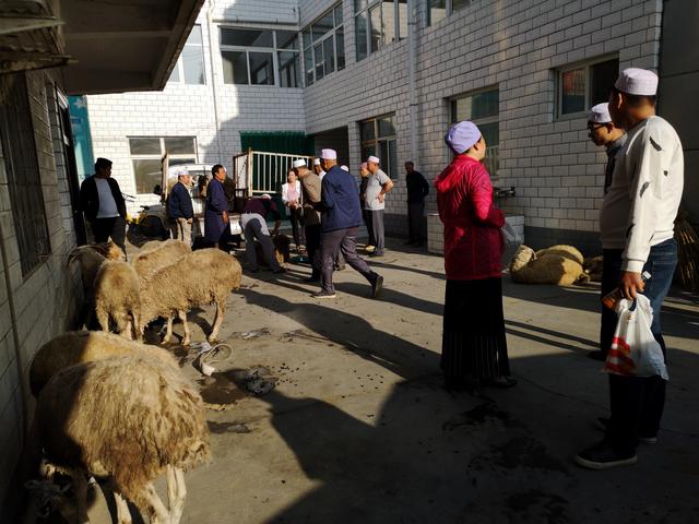 古尔邦节是不是传统节日 古尔邦节的来历，古尔邦节是不是传统节日（银川东关清真寺古尔邦节见闻）
