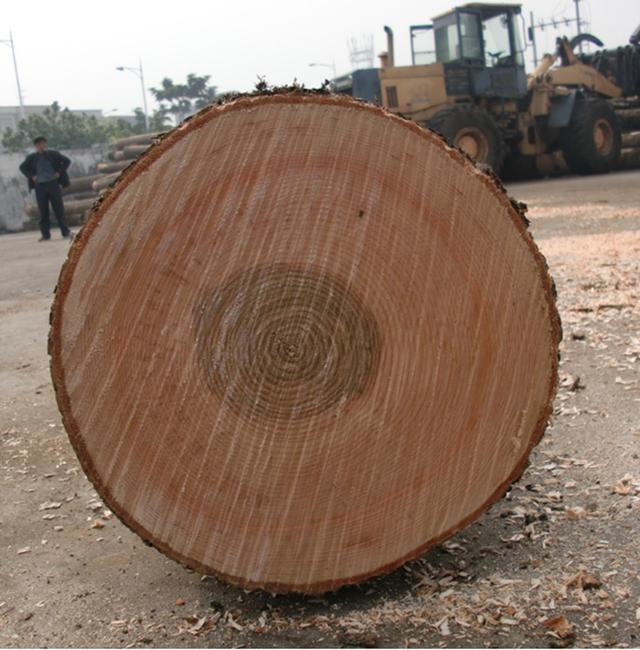 水曲柳家具的优缺点,水曲柳家具的优缺点有哪些(水曲柳用来做家具的优