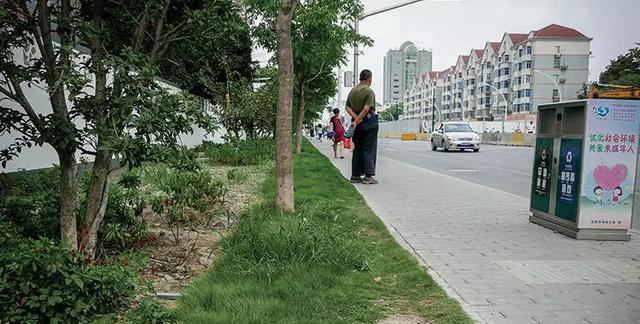 走路踩到狗屎怎么办，走路踩到屎了怎么办（“狗屎运”想天天走）