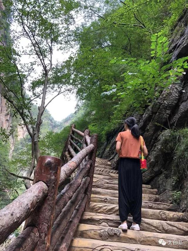 太白山在哪，太白山在哪个市（大美中国之太白山）