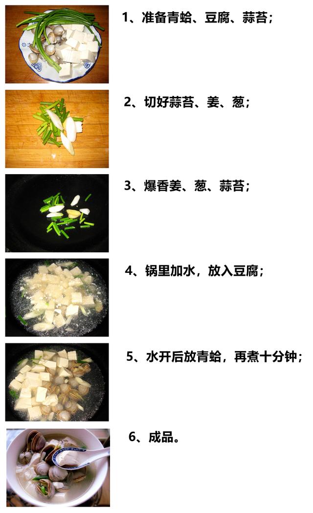 海鲜有哪些种类，文蛤、牡蛎、竹蛏、毛蚶……你都了解了吗