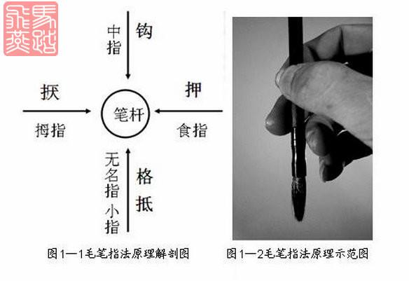 如何练好毛笔字，怎样写毛笔字如何练好基本功（掌握了这些知识就能提高你的毛笔书法水平）