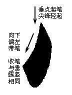 如何练好毛笔字，怎样写毛笔字如何练好基本功（掌握了这些知识就能提高你的毛笔书法水平）