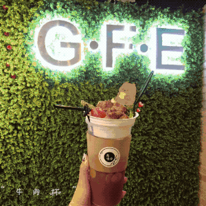 鸡中宝是什么东西，鸡中宝的介绍（顺德出现首部铁板烧快餐车）