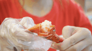 鸡中宝是什么东西，鸡中宝的介绍（顺德出现首部铁板烧快餐车）