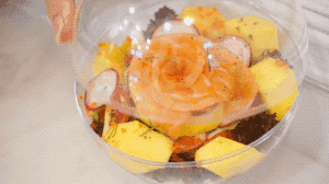 鸡中宝是什么东西，鸡中宝的介绍（顺德出现首部铁板烧快餐车）