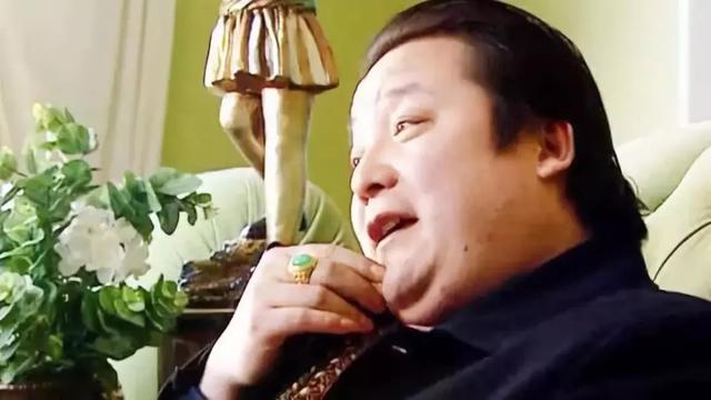 丁书苗投资的电视剧，姓蒋还是姓汪是什么意思（请爱护濒临灭绝的煤老板）