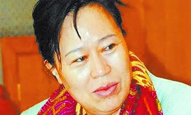 丁书苗投资的电视剧，姓蒋还是姓汪是什么意思（请爱护濒临灭绝的煤老板）