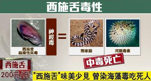 海鲜有哪些种类，文蛤、牡蛎、竹蛏、毛蚶……你都了解了吗