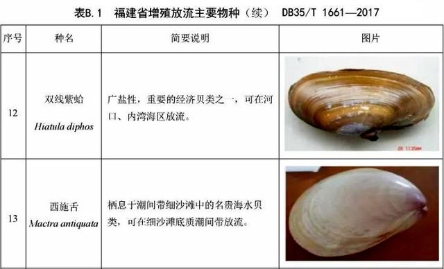 海鲜有哪些种类，文蛤、牡蛎、竹蛏、毛蚶……你都了解了吗