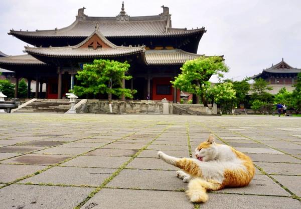大同市火车站周围街景，大同\u0026八月古都忆平城