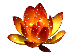 老人去世在天堂祝福语，老人去世在天堂的祝福语有哪些（愿你们在天堂一切安好）