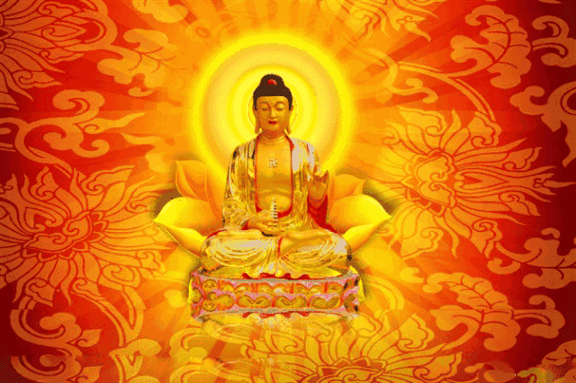 640_426gif 动态图 动图