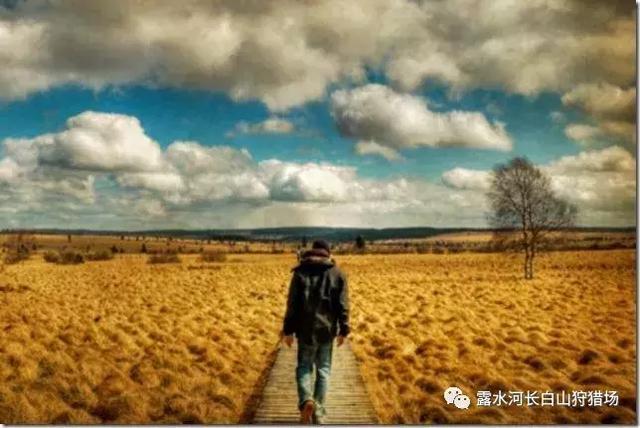 感悟旅行,在旅途中找寻最本真的自己!