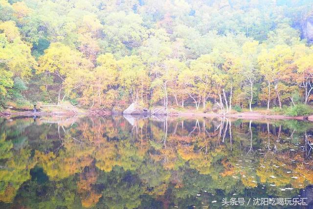 沈阳吃喝玩乐网，五一小长假计划到沈阳旅游（北纬41°上的绝美仙境）