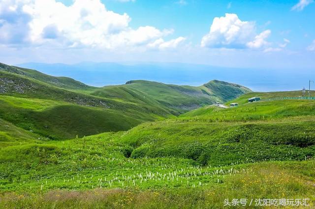 沈阳吃喝玩乐网，五一小长假计划到沈阳旅游（北纬41°上的绝美仙境）