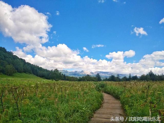 沈阳吃喝玩乐网，五一小长假计划到沈阳旅游（北纬41°上的绝美仙境）