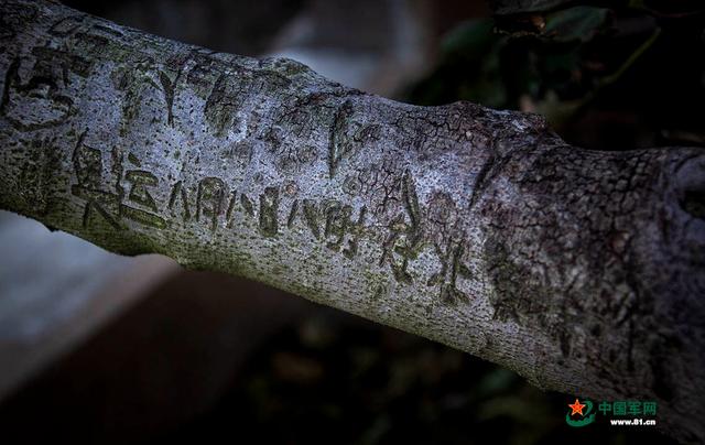 开山岛在哪里，如今的开山岛（一草一木、一砖一瓦中读懂王继才）