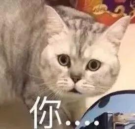 猫咪拉稀什么原因怎么治，猫咪拉稀最有效治疗（导致猫咪拉肚子的几种原因）