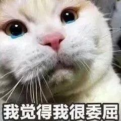 猫咪拉稀什么原因怎么治，猫咪拉稀最有效治疗（导致猫咪拉肚子的几种原因）