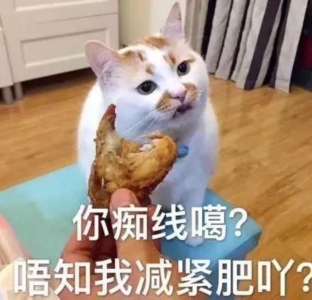 猫咪拉稀什么原因怎么治，猫咪拉稀最有效治疗（导致猫咪拉肚子的几种原因）