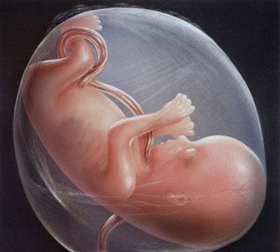 孕晚期胎动频繁，孕晚期胎动频繁正常吗（医生：睡姿不正确腹部压力大）