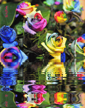 有情有义的经典语录，有情有义的经典语录名言（我待之有情有义；人若犯我）