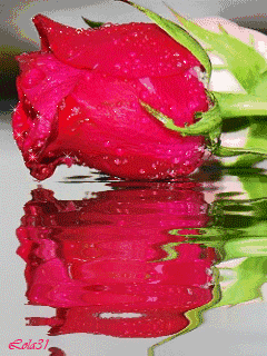 有情有义的经典语录，有情有义的经典语录名言（我待之有情有义；人若犯我）